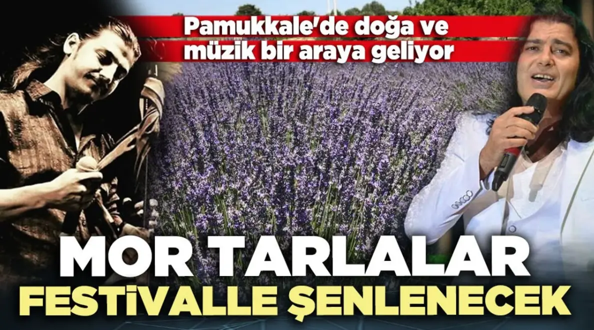 Mor Tarlalar Festivalle Şenlenecek